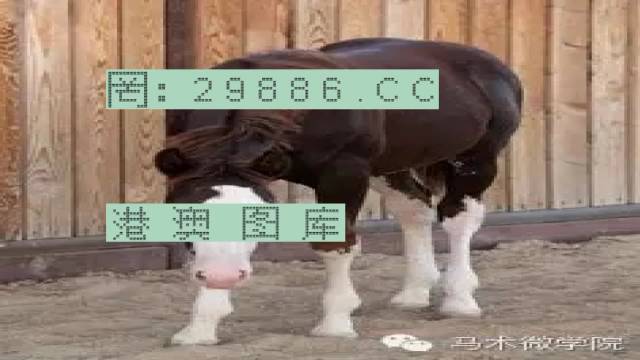 揭秘446999一肖中特馬之秘密，掌握中獎(jiǎng)玄機(jī)！，揭秘特馬中獎(jiǎng)玄機(jī)，446999一肖中的秘密大揭秘！
