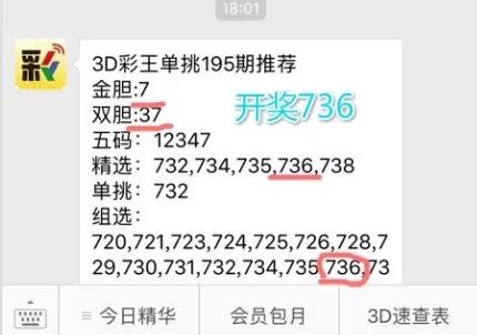 王中王一肖中特4993，深度解析與探索，王中王一肖中特4993深度解析與探索報告