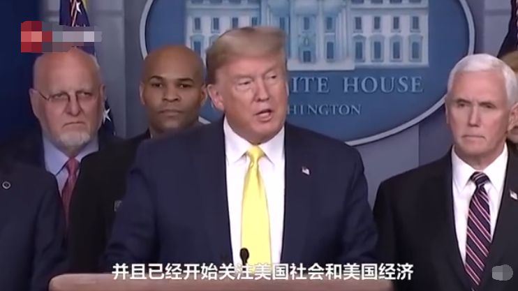 今晚澳門特馬必開一肖，深度解析與預(yù)測，澳門特馬今晚必開一肖深度預(yù)測與解析