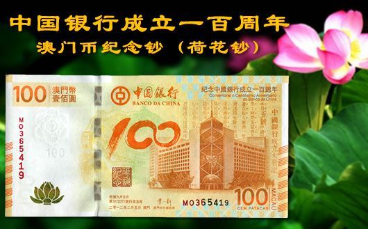 新澳門掛牌正版掛牌完整掛牌，探索與解析，澳門正版掛牌詳解，探索完整流程與解析