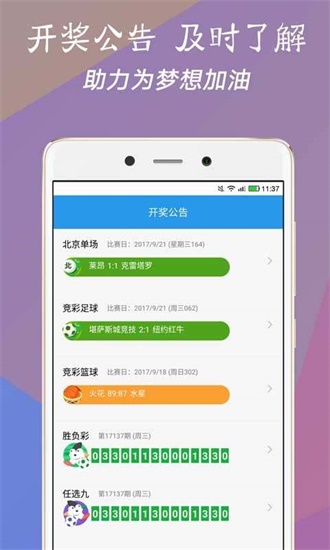澳門今一必中一肖一碼一肖，揭秘彩票背后的秘密與策略，揭秘彩票背后的秘密與策略，澳門今一必中一肖一碼一肖探秘