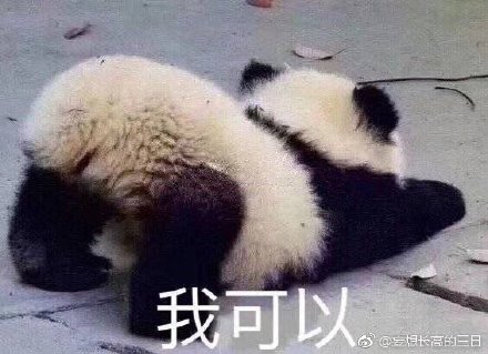 澳門精準(zhǔn)四不像最新正版，揭秘與探索，澳門精準(zhǔn)四不像揭秘與探索最新正版資訊