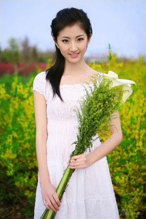 新澳門生肖走勢(shì)圖精準(zhǔn)版，解讀與SEO策略，新澳門生肖走勢(shì)圖精準(zhǔn)解讀與SEO策略揭秘