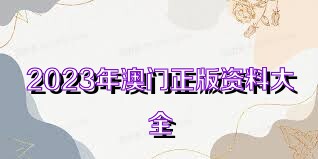 澳門正版資料大全免費歇后語——探索與傳承的文化魅力，澳門正版資料探索與傳承的文化魅力，歇后語大全免費呈現(xiàn)
