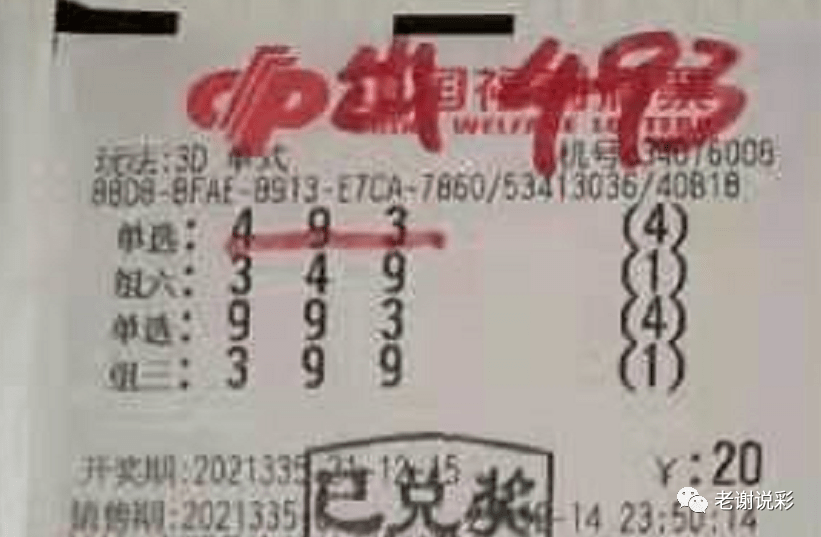 新奧門彩天天開獎資料一網(wǎng)羅萬象，揭秘彩票奧秘，揭秘彩票奧秘，新奧門彩天天開獎資料一網(wǎng)羅萬象