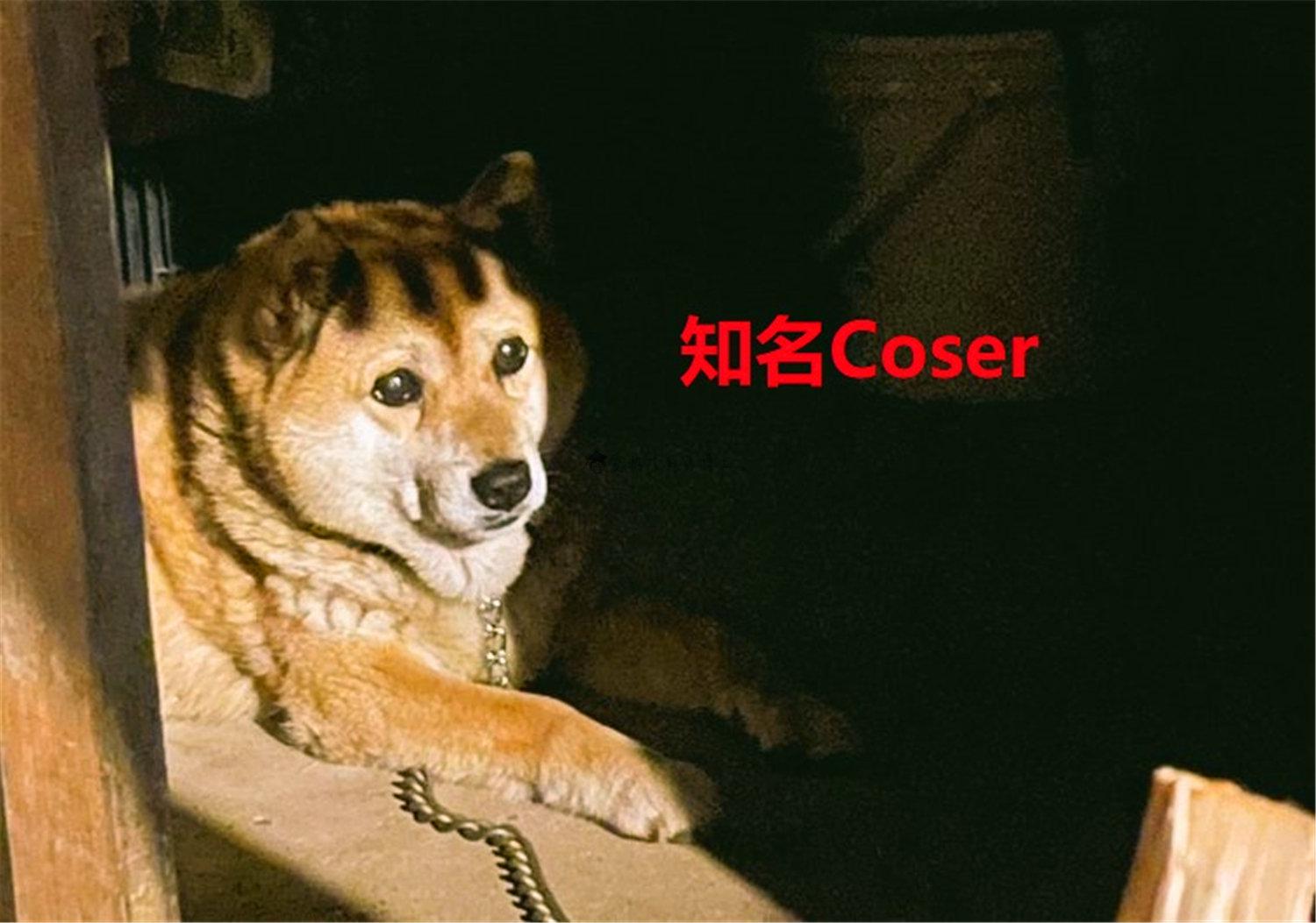 豬狗同行王中王，猜一肖，深度解析與SEO優(yōu)化，豬狗同行王中王猜謎解析與SEO優(yōu)化技巧，深度解析揭秘生肖之謎
