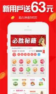 王中王欲錢請(qǐng)猜一肖，揭秘生肖之謎與SEO策略，揭秘生肖之謎與SEO策略，王中王欲錢請(qǐng)猜一肖的奧秘