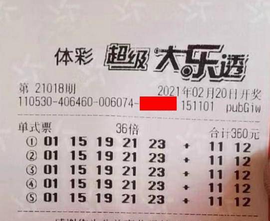 王中王018期指一生肖，揭秘背后的奧秘與意義，揭秘生肖奧秘，王中王生肖背后的意義與秘密