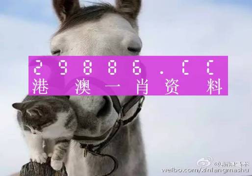 揭秘劉伯溫四肖選一碼的意思——探尋背后的故事與真相，揭秘劉伯溫四肖選一碼背后的真相與故事