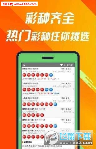 揭秘660678C0m王中王三肖一碼，真相與奧秘，揭秘，王中王三肖一碼真相與奧秘探索