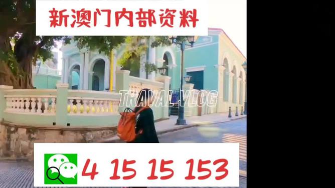 澳門944資料詳解，探索其背后的故事與重要性，澳門944資料深度解析，背后的故事與重要性探索