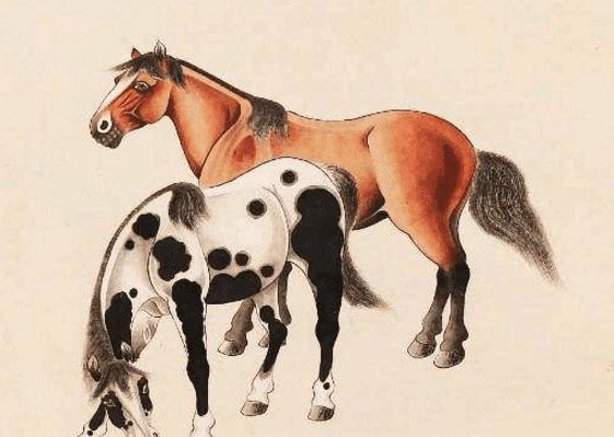 馬一王中王特平一肖圖，深度解析與SEO優(yōu)化策略，深度解析馬一王中王特平肖圖，SEO優(yōu)化策略探討