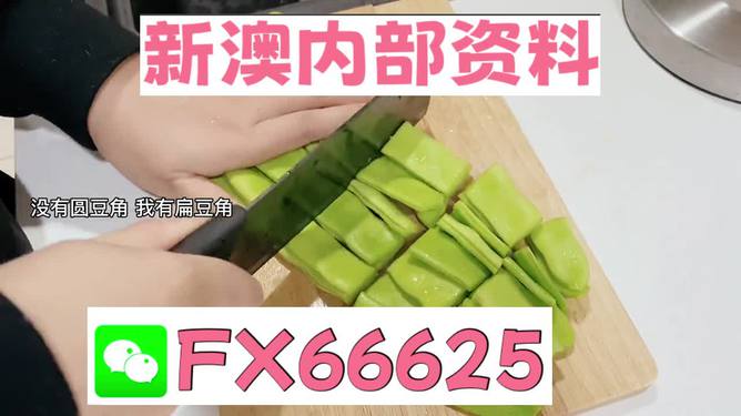 新澳精選資料免費(fèi)提供，探索優(yōu)質(zhì)資源的海洋，新澳精選資料免費(fèi)探索，優(yōu)質(zhì)資源海洋的開啟