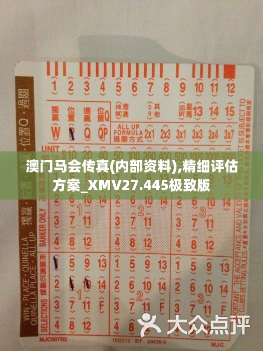 馬會傳真正版，探索正版馬會文化的魅力與價值，正版馬會文化的魅力與價值探索