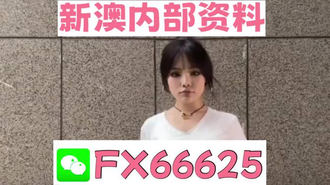 澳門正版資料大全完整版，探索與揭秘2025年澳門正版資料的世界，澳門正版資料大全揭秘，探索未來至2025年的奧秘世界