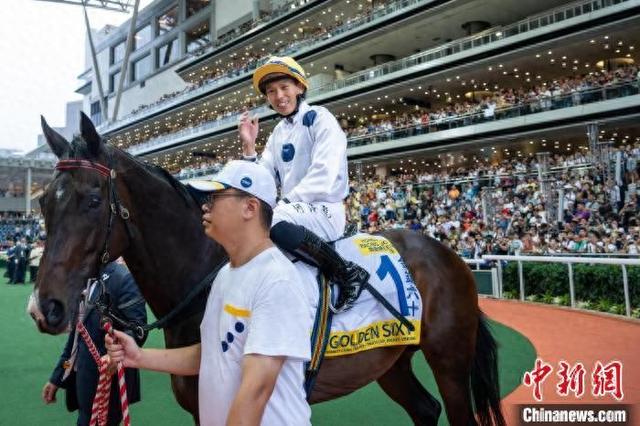 香港特馬王資料免費(fèi)公開，揭秘背后的秘密，香港特馬王資料揭秘，免費(fèi)公開背后的秘密