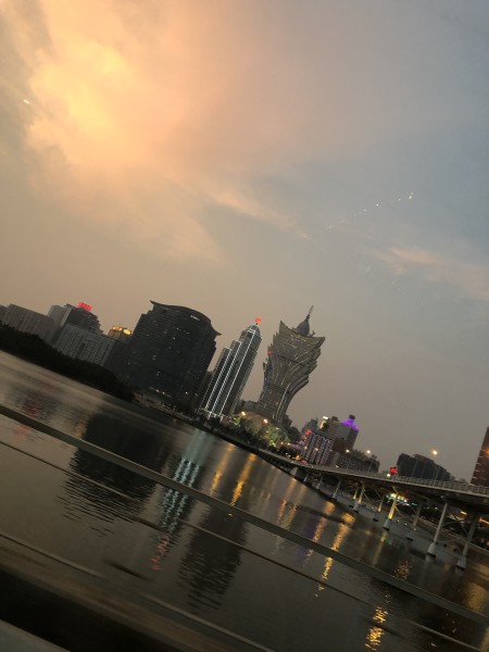 澳門今晚必開一肖一特，深度解析與預測，澳門今晚生肖特碼深度解析與預測，一肖一特必開趨勢探討