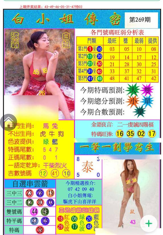 揭秘白小姐與王中王平持一肖的神秘面紗，白小姐與王中王，揭秘神秘生肖預(yù)測(cè)面紗