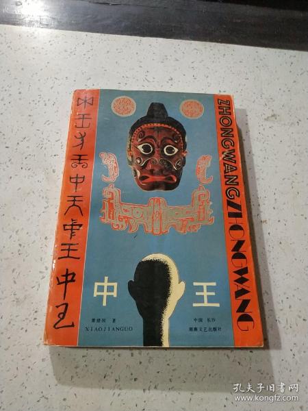 王中王資料與肖中特，深度解析，王中王資料與肖中特深度剖析