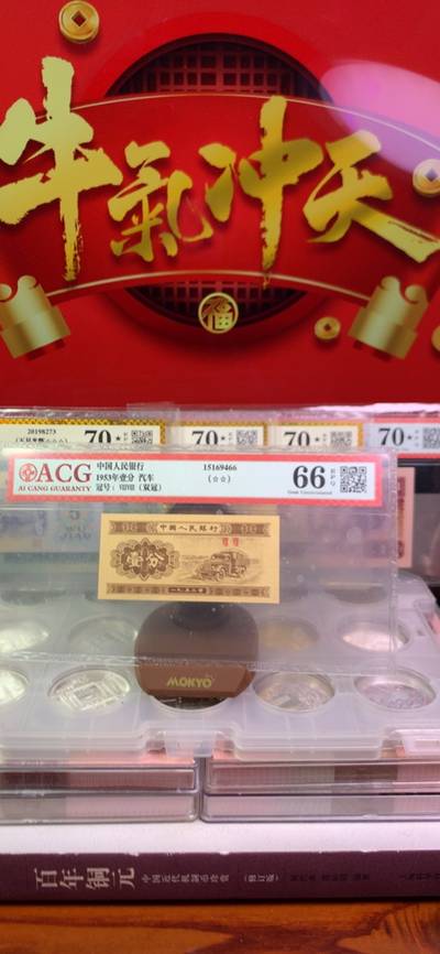 王中王廣東一肖，探尋背后的故事與奧秘，王中王廣東一肖，背后的故事與奧秘探尋