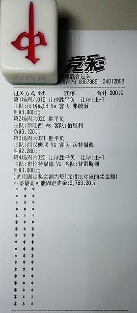 揭秘買一肖中獎(jiǎng)的賠率與風(fēng)險(xiǎn)，你真的準(zhǔn)備好了嗎？，揭秘買一肖中獎(jiǎng)背后的賠率與風(fēng)險(xiǎn)，你真的做好準(zhǔn)備了嗎？