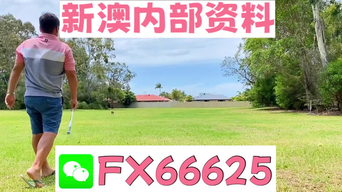 王中王兩肖一碼，揭秘背后的奧秘，王中王兩肖一碼揭秘，背后的秘密與奧秘