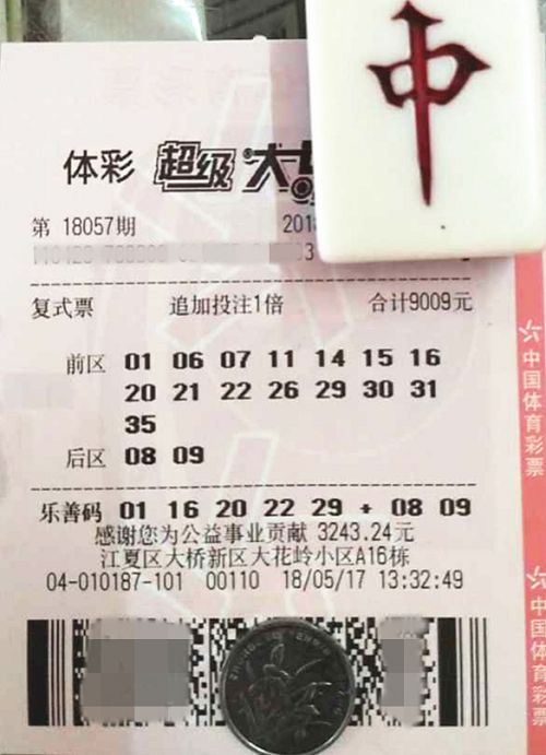 澳門六開彩天天開獎結果查詢，輕松掌握最新動態(tài)，澳門六開彩最新開獎結果查詢，輕松掌握每日動態(tài)