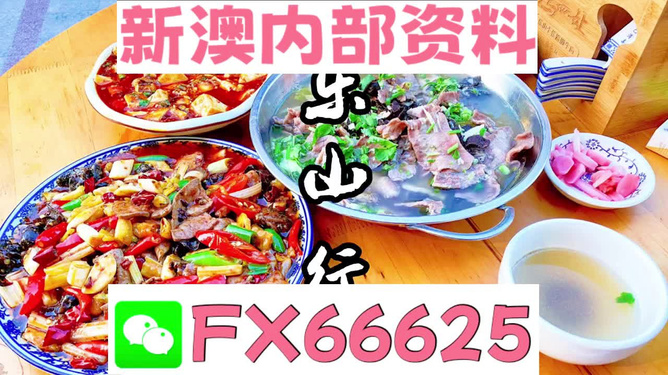 新澳全年免費資料大全——探索與學(xué)習(xí)的不竭源泉，新澳全年免費資料大全，無盡的學(xué)習(xí)資源寶庫