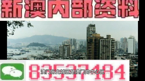 澳門全年最全免費資料大全，探索無盡的資源寶庫，澳門全年免費資料寶庫，探索無盡資源之旅