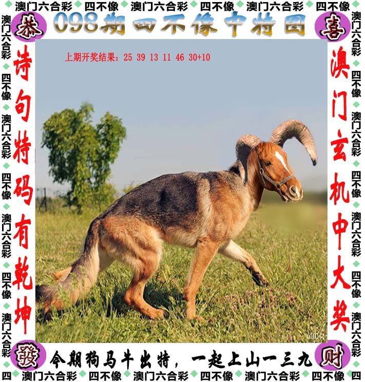 澳門四不像圖，神秘與獨特的藝術(shù)魅力，澳門四不像圖，神秘獨特的藝術(shù)魅力