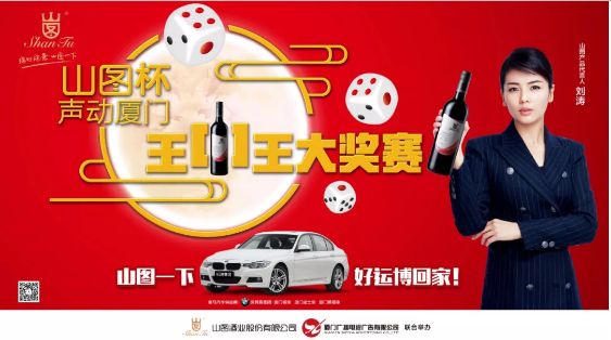 揭秘王中王背后的故事，從肖中的視角看其在SEO領(lǐng)域的輝煌成就，肖中視角下的王中王，SEO領(lǐng)域的輝煌成就揭秘