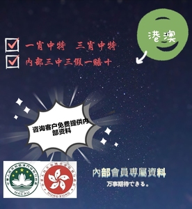 揭秘香港王中王，探尋肖中特背后的秘密，揭秘香港王中王背后的秘密與肖中特真相探索