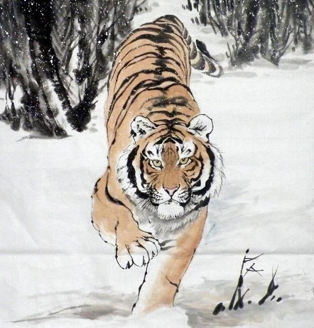 猛虎下山王中王，揭秘一生肖的神秘魅力，揭秘生肖之王——猛虎下山之神秘魅力