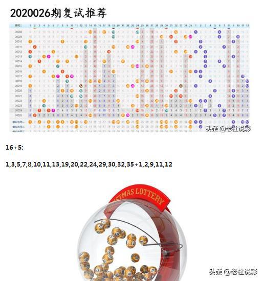王中王026期指一生肖，深度解讀與SEO優(yōu)化策略，王中王026期生肖深度解讀與SEO優(yōu)化策略全解析