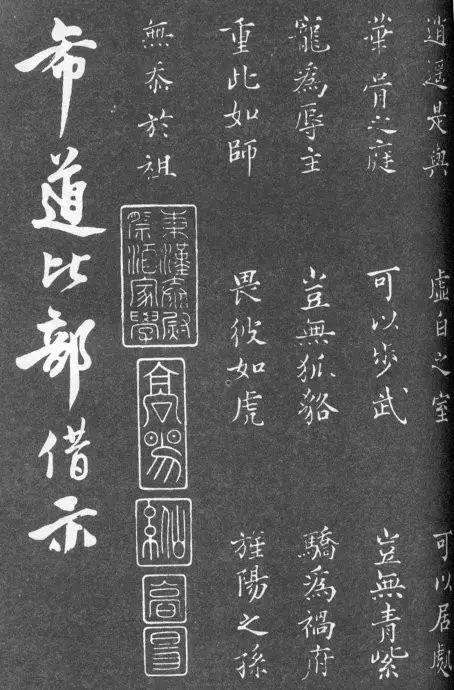 一肖二碼中特的意思解析，一肖二碼中特的意思深度解析