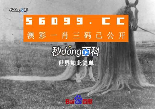 澳門一肖一碼一必中一肖舟山，揭秘彩票秘密，掌握幸運之鑰，揭秘彩票秘密，澳門一肖一碼必中秘籍與幸運之鑰在舟山開啟
