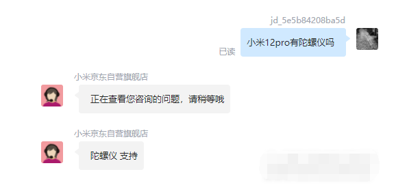 王中王一肖碼，探索關(guān)鍵詞背后的奧秘，王中王一肖碼，揭秘關(guān)鍵詞背后的奧秘