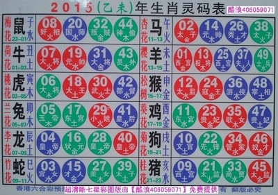揭秘2025十二生肖與數(shù)字彩票的神奇聯(lián)系——49碼表全解析，揭秘十二生肖與數(shù)字彩票的神秘聯(lián)系，2025年49碼表深度解析