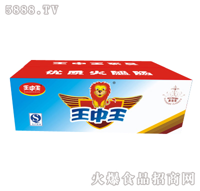 王中王一肖特圖，揭秘背后的故事與魅力，揭秘王中王一肖特圖的背后故事與魅力