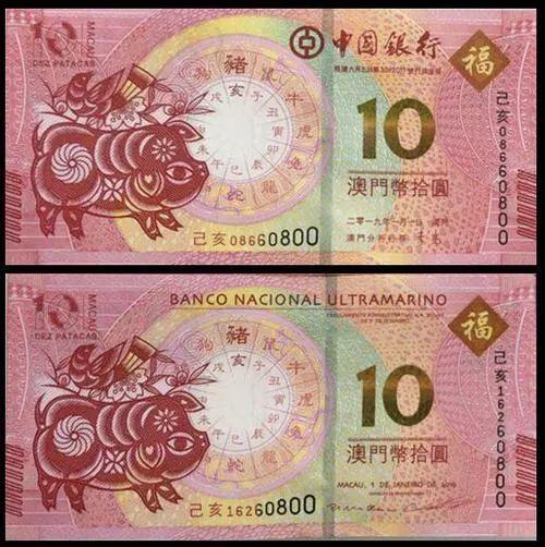 澳門天天彩期期精準(zhǔn)十二生肖預(yù)測——揭秘彩票背后的秘密，澳門天天彩期期精準(zhǔn)十二生肖預(yù)測，彩票背后的秘密大揭秘
