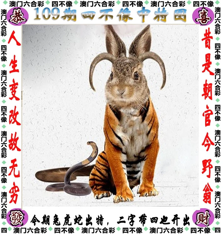 四不像王中王資料一肖，深度解析與探索，四不像王中王資料一肖，深度解析與探索揭秘
