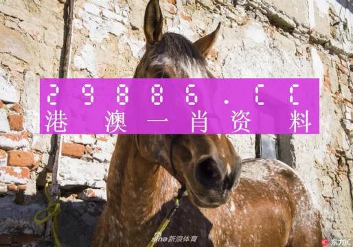 王中王資料一門肖中，深度解析與探索，王中王資料一門肖詳解，深度解析與探索