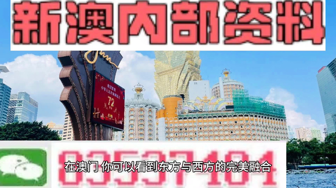 新澳新澳門正版資料，探索與解析，新澳新澳門正版資料深度解析與探索
