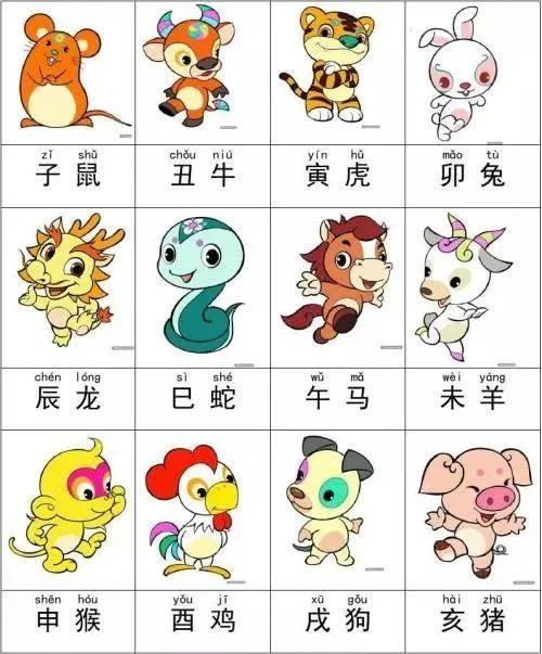 一肖有哪幾個(gè)生肖，生肖一肖包含哪些生肖