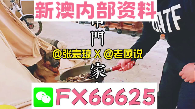 新澳門精準(zhǔn)資料大全，管家婆料解析與探索，澳門精準(zhǔn)資料大全，管家婆料解析與深度探索