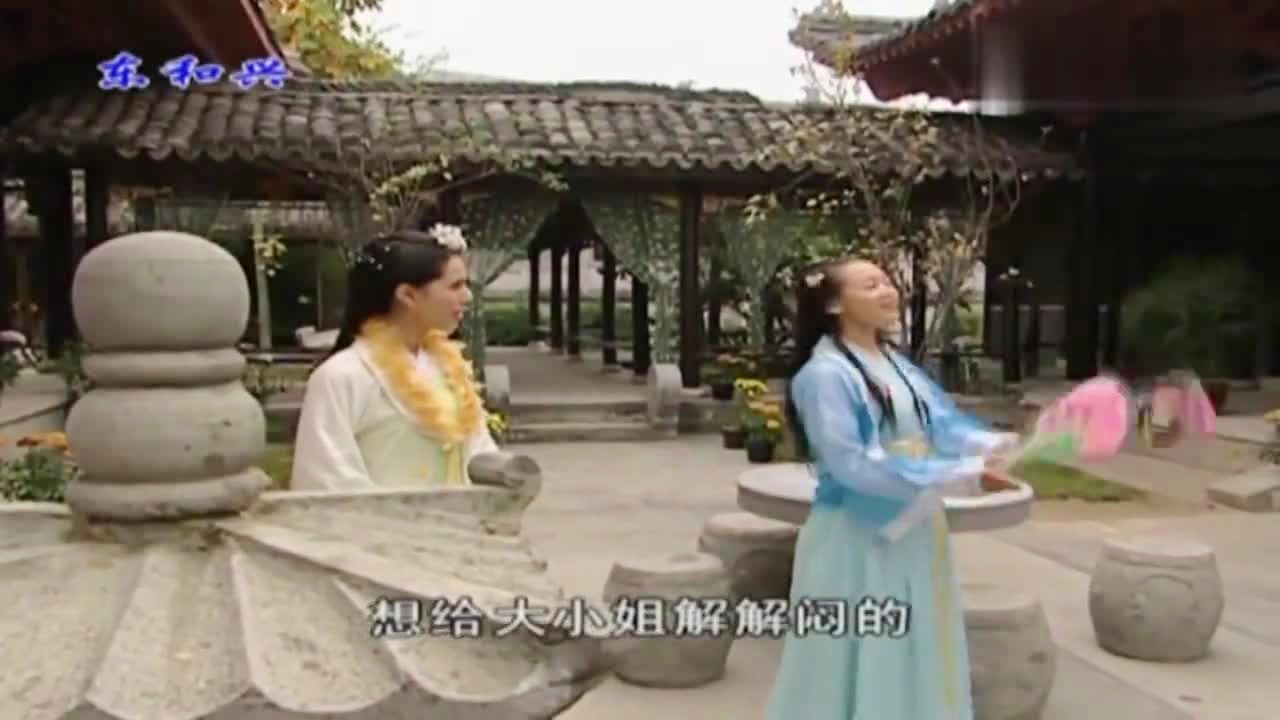劉伯溫白小姐一肖期期準(zhǔn)，神秘預(yù)測背后的真相，劉伯溫白小姐生肖預(yù)測揭秘，神秘預(yù)測背后的真相