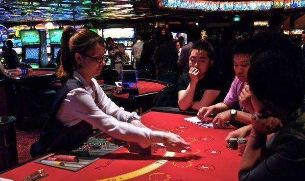 澳門金牛王中王一肖，探索背后的神秘與魅力，澳門金牛王中王一肖，神秘魅力背后的探索