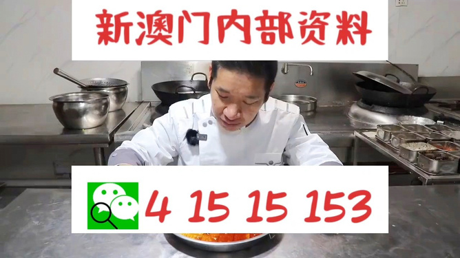 管家婆一肖資料大全，深度解析與探索，管家婆一肖資料深度解析與探索大全