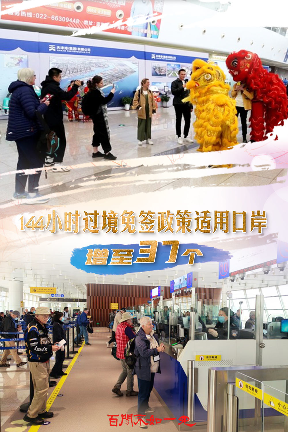 揭秘王中王一碼一肖一特一中，背后的秘密與玄機，揭秘王中王一碼一肖一特一中，背后的秘密與玄機揭秘真相