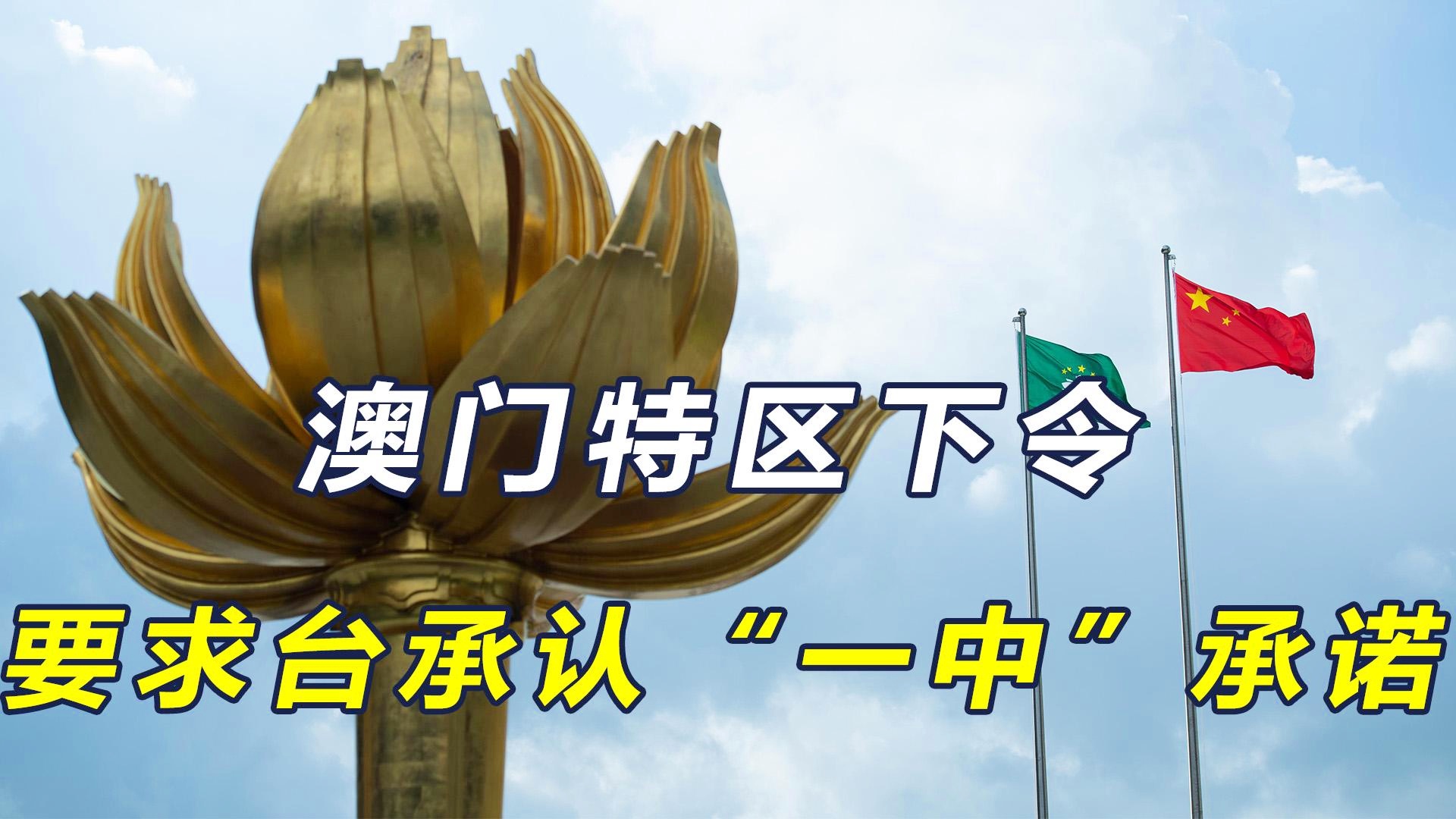 新澳門一碼一肖一特一中準選今晚——揭秘精準預(yù)測的秘密，揭秘澳門今晚精準預(yù)測的秘密，一碼一肖一特一中準選揭曉！